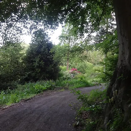 Casa Mundo Bed and breakfast 3*